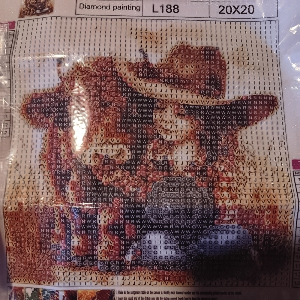 Cowgirl Diamond Painting Kit - Brown and Tan 20x20